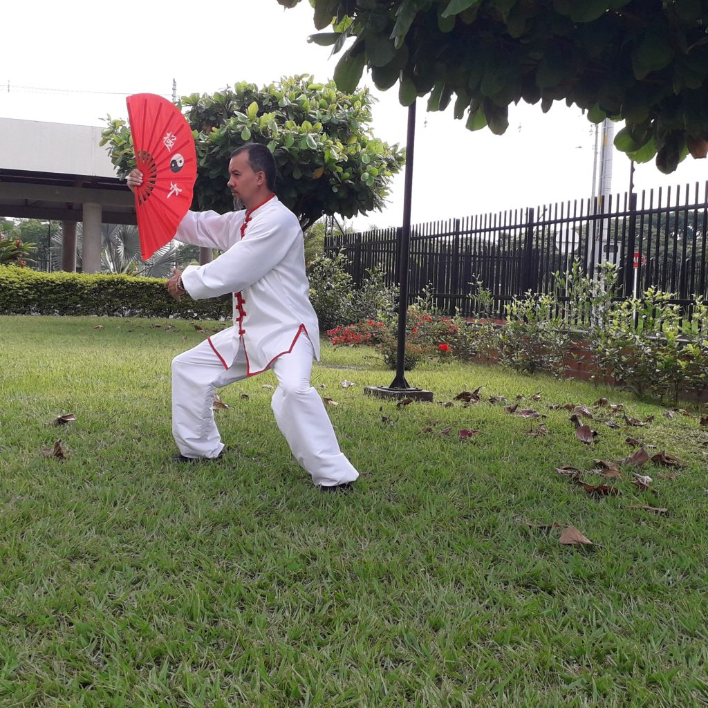 Tai Chi Chuan y Chi Kung para la salud