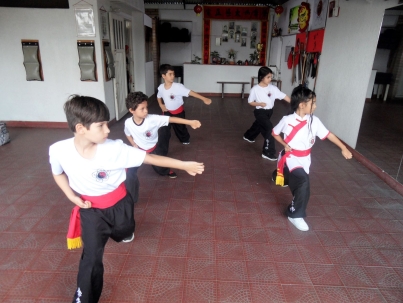 Kung Fu para Niños