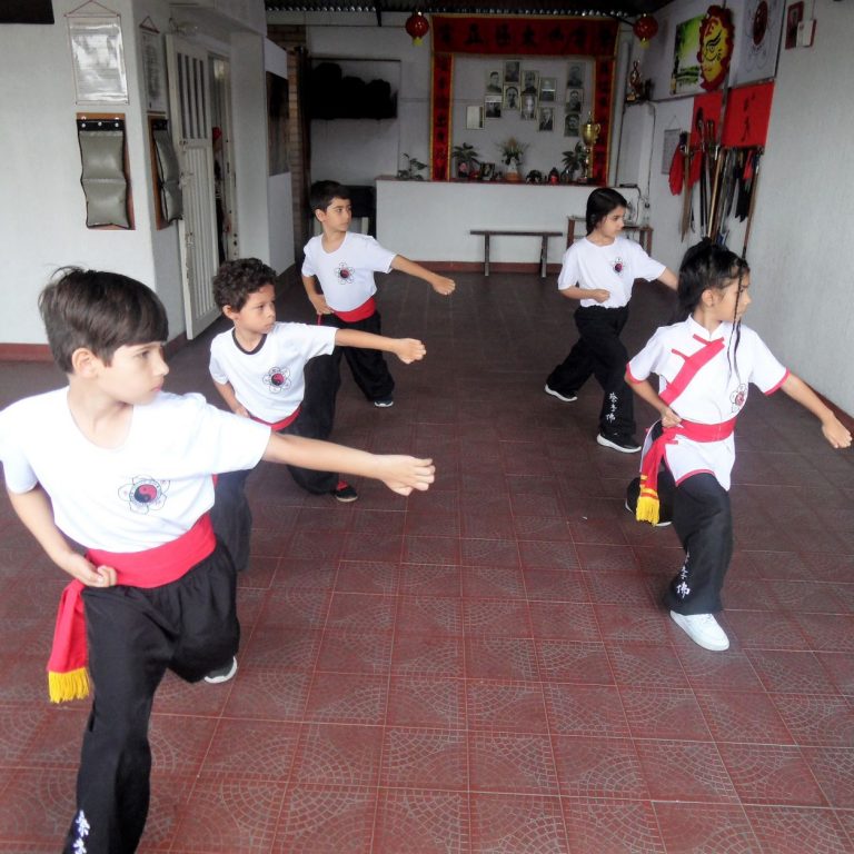 Kung Fu para Niños